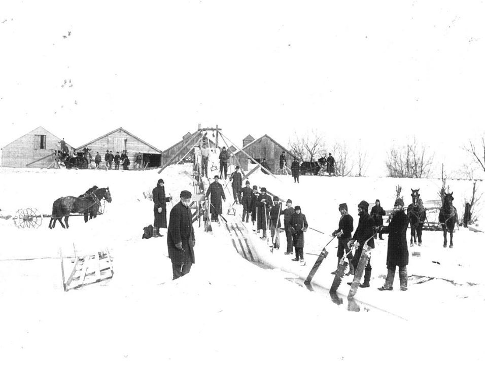 Ice harvest